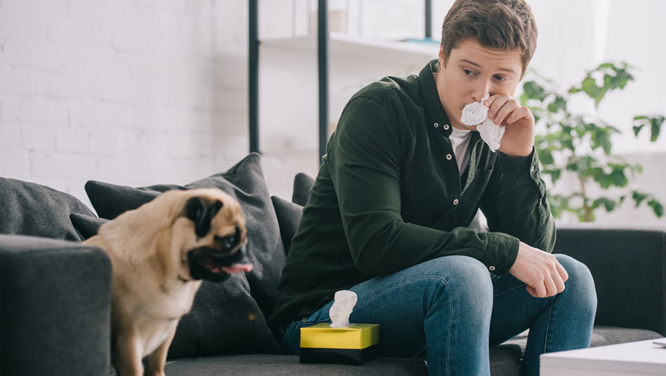 Getting an air purifier is one of the wisest approaches to enhance your home’s indoor air quality. Learn more about the three top products. 